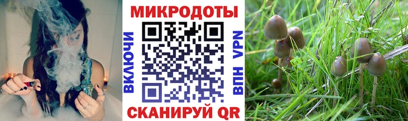 Псилоцибиновые грибы Psilocybine cubensis  мега зеркало  Качканар 